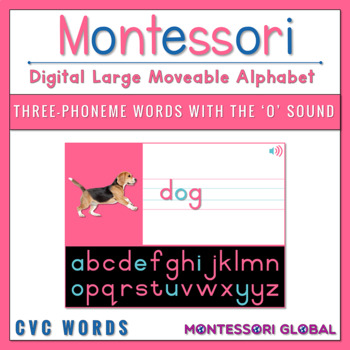 Preview of Montessori Moveable Alphabet | CVC Words | O Sounds | Phonetic