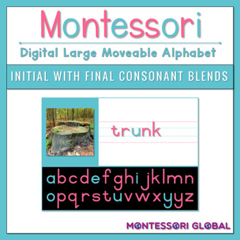 Preview of Montessori Moveable Alphabet | Initial with Final Consonant Blends