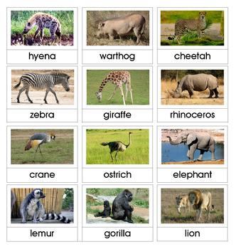 Montessori Nomenclature 3-Part Cards - AFRICAN ANIMALS - Vocabulary ...