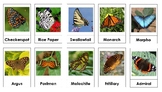 Montessori Nomenclature 3-Part Cards - BUTTERFLIES - Vocab