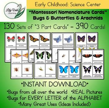 Preview of Montessori Nomenclature Cards- "BUGS & ARACHNIDS" by LilyVale Learning