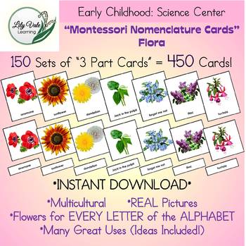 Preview of Montessori Nomenclature Cards-FLORA-Set of 450!