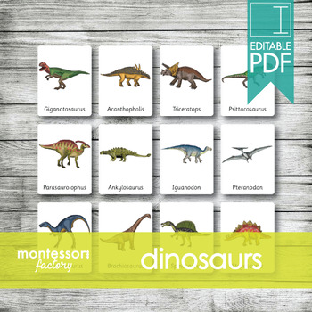 Preview of DINOSAURS • Montessori Cards • Flash Cards • Three Part Cards