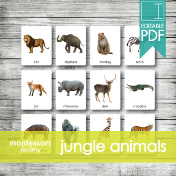 Preview of JUNGLE ANIMALS • Montessori Cards • Flash Cards • Three Part Cards