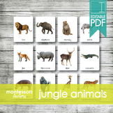 JUNGLE ANIMALS • Montessori Cards • Flash Cards • Three Pa