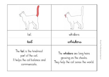 Montessori Nomenclature Cards: Parts of a Cat by The Montessori Garden