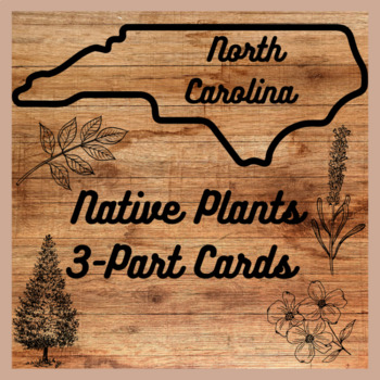 Preview of Montessori: North Carolina 3-Part Cards