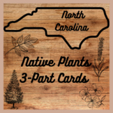 Montessori: North Carolina 3-Part Cards