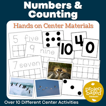 Preview of Beginning Numbers and Counting Center Materials Pack