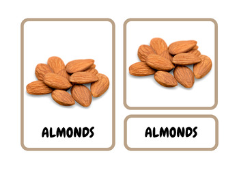 Preview of Montessori Nuts Flashcards: Explore Nature's Nutritious Treasures
