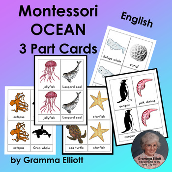 Preview of Ocean Words and Pictures Matching Montessori 3 Part Cards - English Free Sample