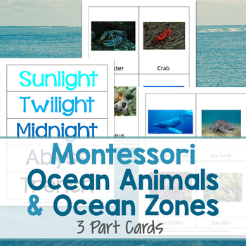 Preview of Montessori Ocean Animals and Ocean Zones - 3 Part Cards