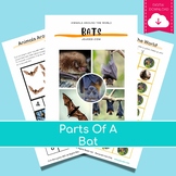 Montessori Parts of Bat 3 Part Cards PDF | education PDF, 