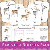 Montessori Parts of Reindeer Learning Pack