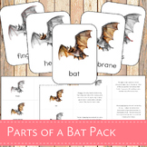 Montessori Parts of a Bat Learning pack