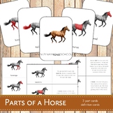 Parts of a Horse Montessori 3 Part Cards