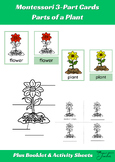 Montessori Parts of a Plant 3-Part Cards with Activity She