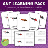 Parts of an Ant Montessori 3 Part Cards