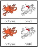 Montessori Parts of an Octopus - 3 Part Cards