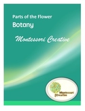 Montessori Parts of the Flower for Elementary
