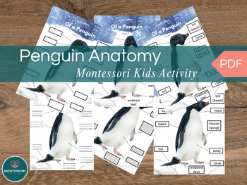 Preview of Penguin Anatomy Montessori Printable Kids Activity, 6-Page Parts of a Penguin Wa