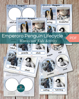 Preview of Montessori Life Cycle of Penguin Printable Kids Activity, 3-Part Cards Workbook