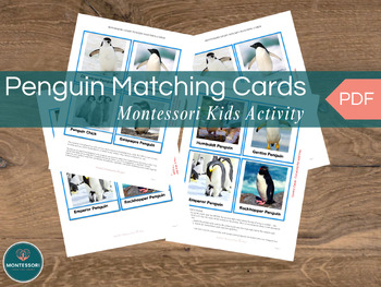 Preview of Penguin Printable Montessori Kids Activity 4-Page Types of Penguins 3-Part Match