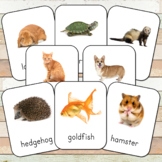 Montessori Pets 3 Part Cards (editable)