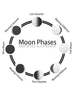 Montessori Phases Of The Moon 3 part cards(FREEBIE) by Amanda Milazzo