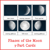 Montessori Phases of the Moon 3-part Cards