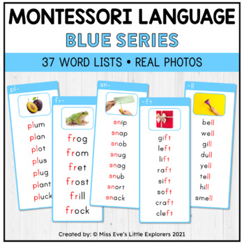 Printable Montessori Materials Digital Download Phonetic Words Write & Wipe Set 1 Language Phonics