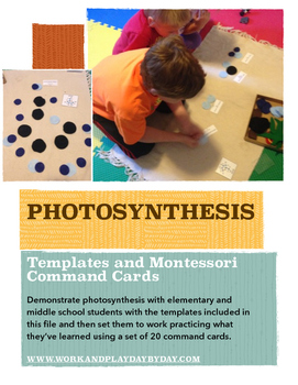 Preview of Montessori Photosynthesis Materials