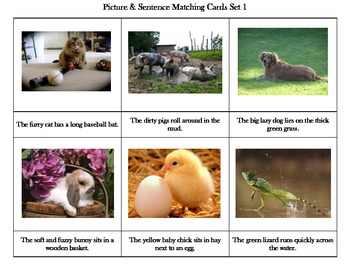 Preview of Montessori Picture & Sentence Matching Cards Set 1