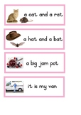 Montessori Pink Series Phrase and Sentence bundle