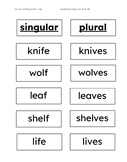 Montessori Plural Sorting Work -ves