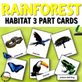 Montessori Rainforest 3 Part Cards