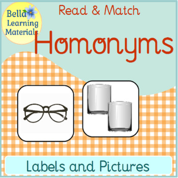 Montessori Homeschool HOMONYMS Match Card Language Word Study 