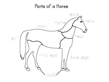 Montessori Science: Parts of a Horse by My Montessori Maker | TPT