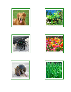 Preview of Montessori: Science - Plants and Animals