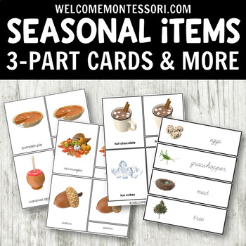 Preview of Montessori Four Seasons 3-Part Cards in Print and Cursive with Real Images