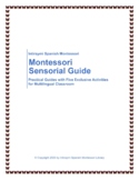 Montessori Sensorimotor Development Activities