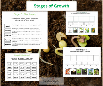 Preview of Montessori Sequence Lesson activities: Stages of Growth of Plants