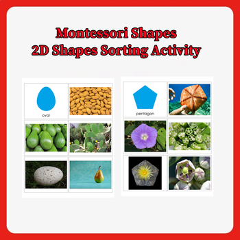 Montessori Shapes 2D Shapes Sorting Activity