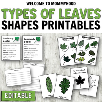 Preview of Montessori Shapes of Leaves Cards for Botany Activities and Science Centers