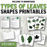 Montessori Shapes of Leaves Cards for Botany Activities an