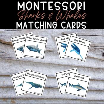 Preview of Montessori Shark & Whale Matching Cards