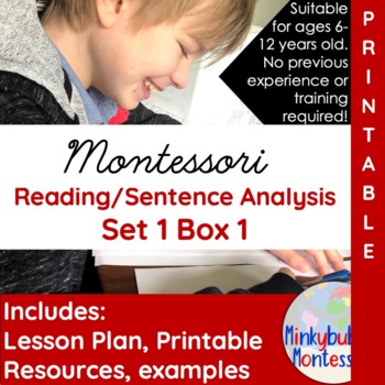 Preview of Montessori Simple Sentence Analysis Printable including EVERYTHING Needed DL