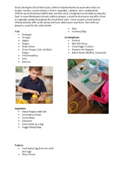 Preview of Montessori Snack Option List