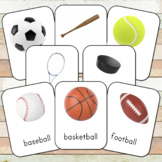Montessori Sports Toob 3 Part Cards (editable)