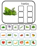 Montessori Spring Sorting- Herbs, Vegetables and Fruit